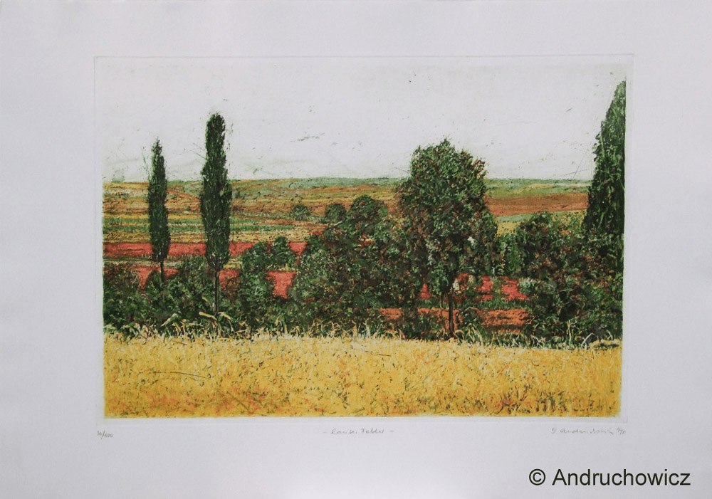 Dietlinde Andruchowicz - Lauter Felder - Kunsthandlung Langheinz