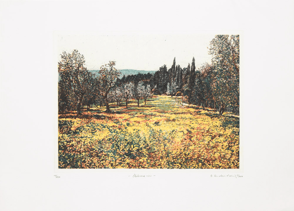 Dietlinde Andruchowicz - Ölbäume - Kunsthandlung Langheinz