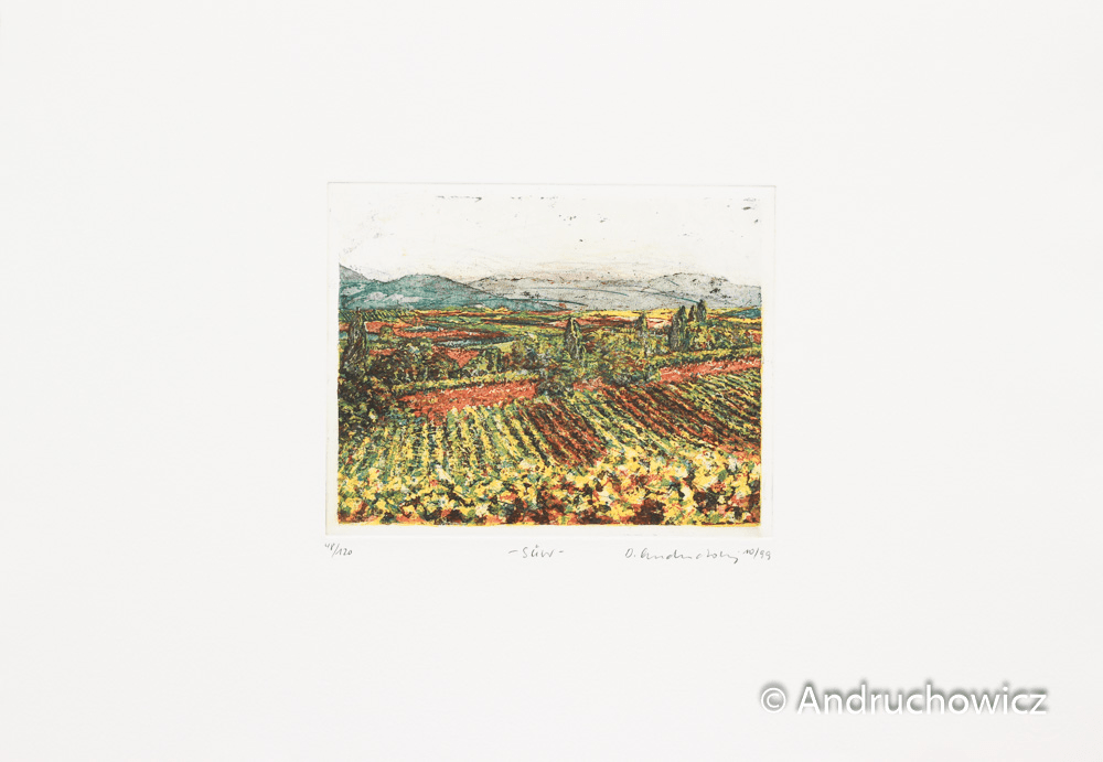 Dietlinde Andruchowicz - SÜW - Kunsthandlung Langheinz