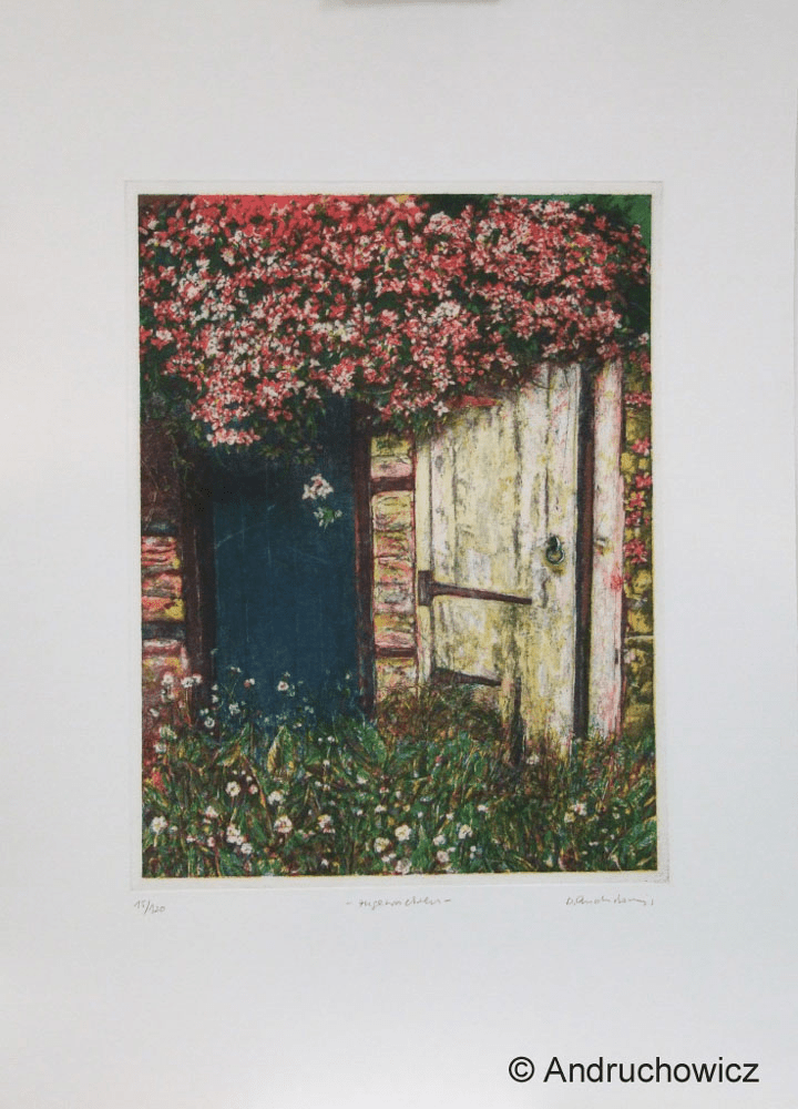 Dietlinde Andruchowicz - Zugewachsen - Kunsthandlung Langheinz
