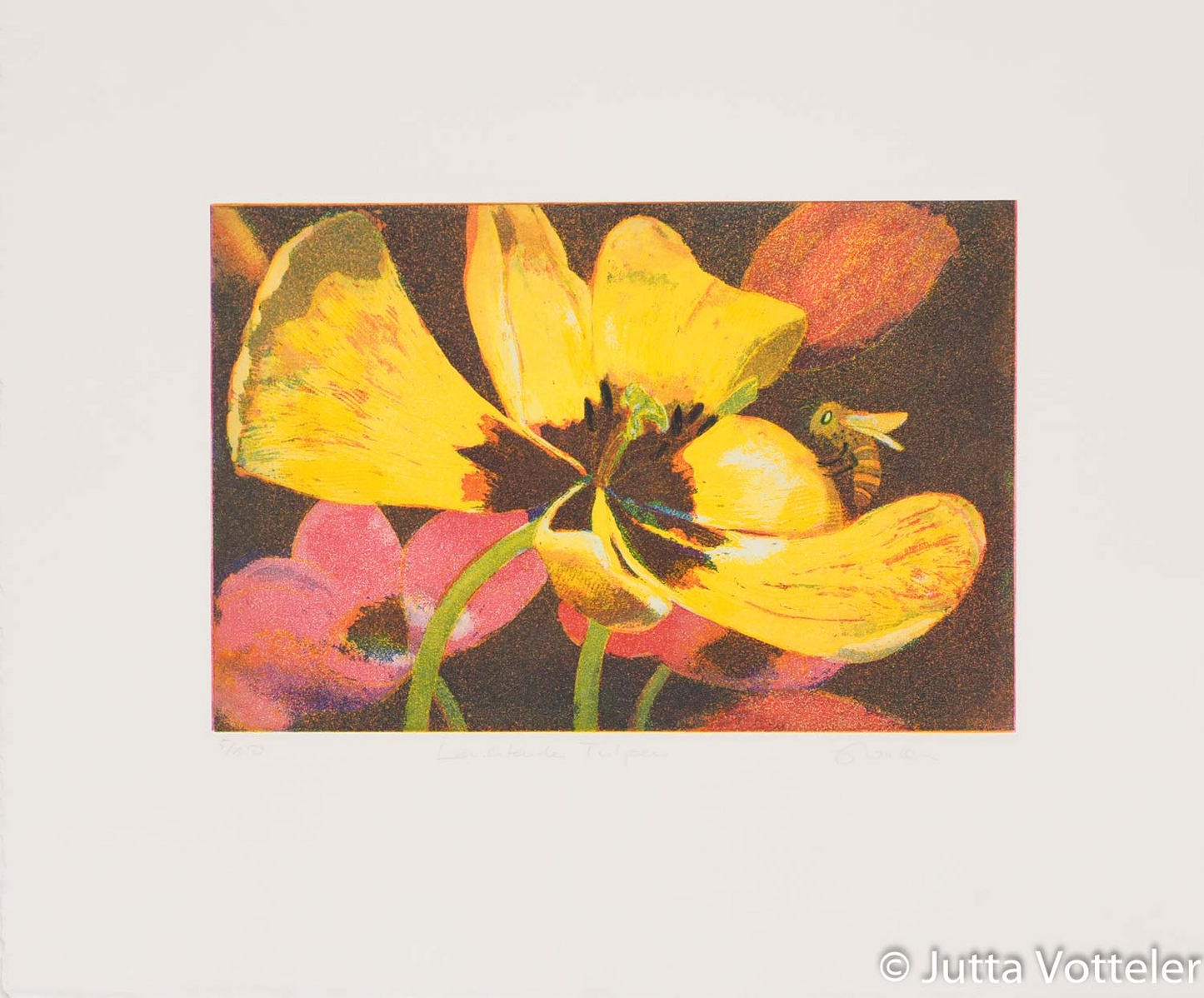 Farbradierung -Leuchtende Tulpen- von Jutta Votteler -eine große gelbe Tulpe füllt das Bildfeld fast vollständig, der Hintergrund ist rötlich-braun, eine Biene hat sich in der Blüte niedergelassen, links drängt eine rosa Tulpe ins Bild.