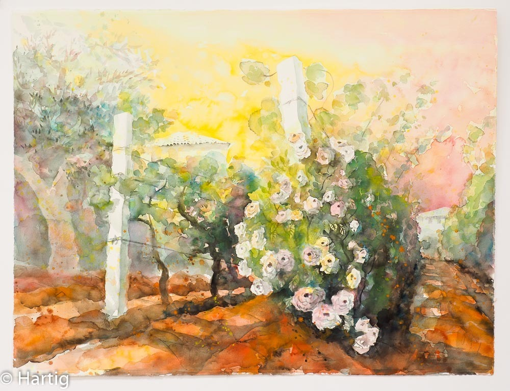 Ulrich Hartig – Rose nella Vigna - Kunsthandlung Langheinz