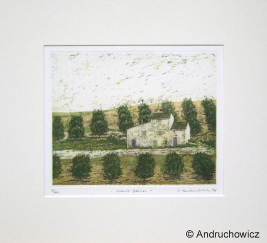 Dietlinde Andruchowicz - Franz. Oliven - Kunsthandlung Langheinz
