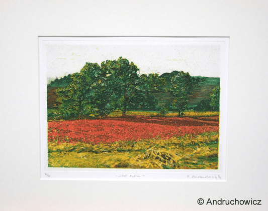 Dietlinde Andruchowicz - Italienischer Mohn - Kunsthandlung Langheinz