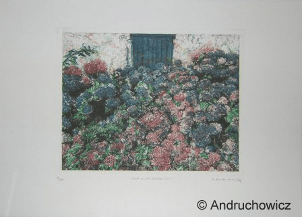 Dietlinde Andruchowicz - Noch mehr Hortensien - Kunsthandlung Langheinz
