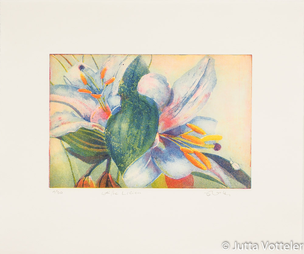 Farbradierung -Weiße Lilien- von Jutta Votteler, weiße Lilienblüten füllen das gesamte Bildfeld, leuchtend orange Staubgefäße, zarte rosa Schattierungen auf den Blütenblättern und ein kleiner Käfer, der sich in den Blättern verbirgt.