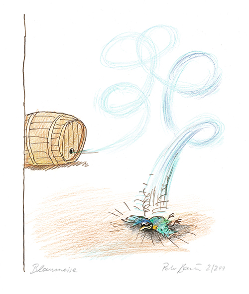 Giclee-Print von Peter Bauer -Blaumeise- Eine Blaumeise im freien Fall – und ein Weinfass, das vermutlich gerade von der Meise geleert wurde.
