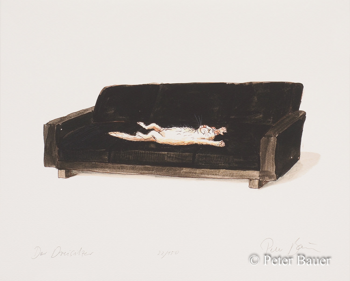 Peter Bauer bringt mit dem Motiv "Der Dreisitzer" eine universelle Wahrheit auf den Punkt: Das Sofa gehört der Katze. Eine weiße Katze hat sich auf dem schwarzen Dreisitzer lang gemacht – alle drei Plätze souverän belegt, die Pfoten ausgestreckt, die Augen geschlossen.