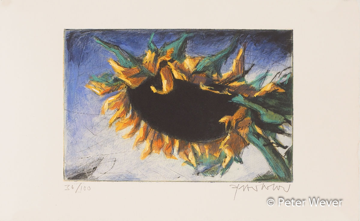 Radierung von Peter Wever -Sonnenblume- Eine Sonnenblume füllt das gesamte Bildfeld, von unten gesehen, die dunkle Scheibe fast schwarz, die Blütenblätter in leuchtendem Gelb, der Hintergrund ist Blau.