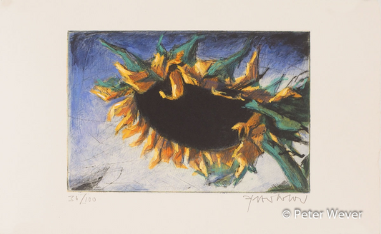 Radierung von Peter Wever -Sonnenblume- Eine Sonnenblume füllt das gesamte Bildfeld, von unten gesehen, die dunkle Scheibe fast schwarz, die Blütenblätter in leuchtendem Gelb, der Hintergrund ist Blau.