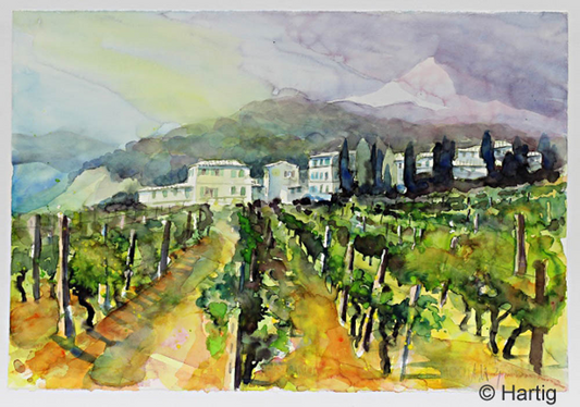 Aquarell von Ulrich Hartig -Elba Bianco- zeigt einen Blick über sommerliche Weinreihen auf eine mediterrane Villa.