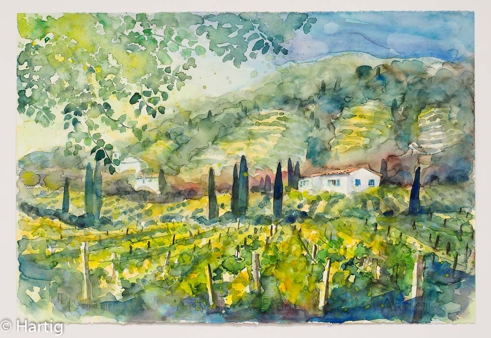 Aquarell von Ulrich Hartig -Valle S. Martino- Tal mit Weinreben im Vordergrund, schlanken Zypressen als vertikale Gliederung und einer weißen Finca.